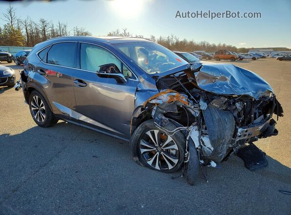JTJSARDZ1M2243052 2021 LEXUS NX Gray წინა მარჯვენა