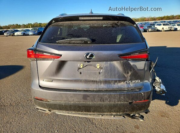 JTJSARDZ1M2243052 2021 LEXUS NX Gray უკანა ხედი