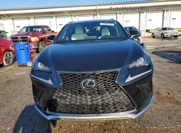 JTJSARDZ2M2250429 2021 LEXUS NX Black Front view