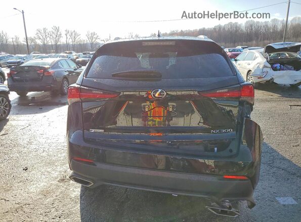 JTJSARDZ2M2250429 2021 LEXUS NX Black Rear view