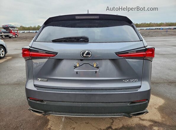 JTJSARDZ3M2244381 2021 LEXUS NX Gray Widok z tyłu