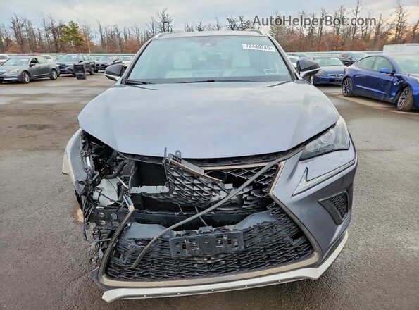 JTJSARDZ3M2244381 2021 LEXUS NX Gray Widok z przodu