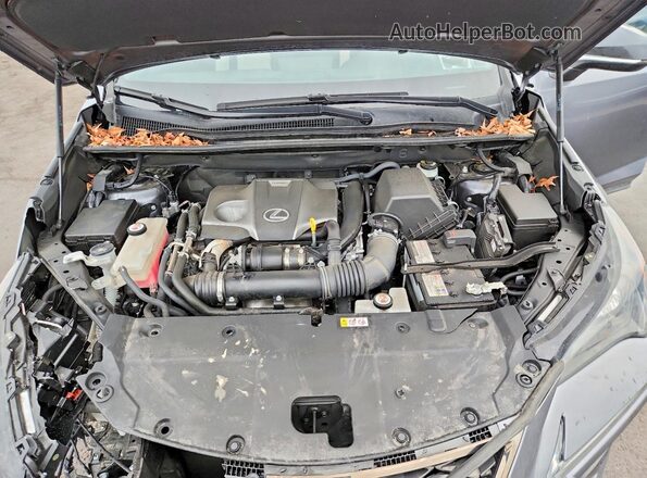 JTJSARDZ3M2244381 2021 LEXUS NX Gray Widok komory silnika