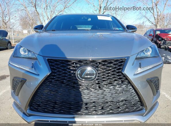 JTJSARDZ4L5009016 2020 LEXUS NX 300 Silver Widok zestawu wskaźników