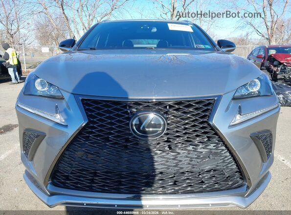 JTJSARDZ4L5009016 2020 LEXUS NX 300 Silver Widok z przodu
