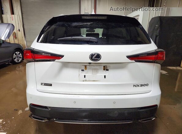 JTJSARDZ4M2237391 2021 LEXUS NX White Հետևի տեսք