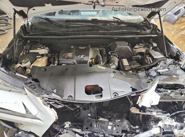 JTJSARDZ4M2237391 2021 LEXUS NX White Սալոնի հետևի տեսք