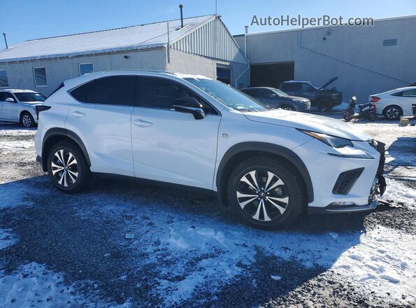 JTJSARDZ6M2256055 2021 LEXUS NX White 