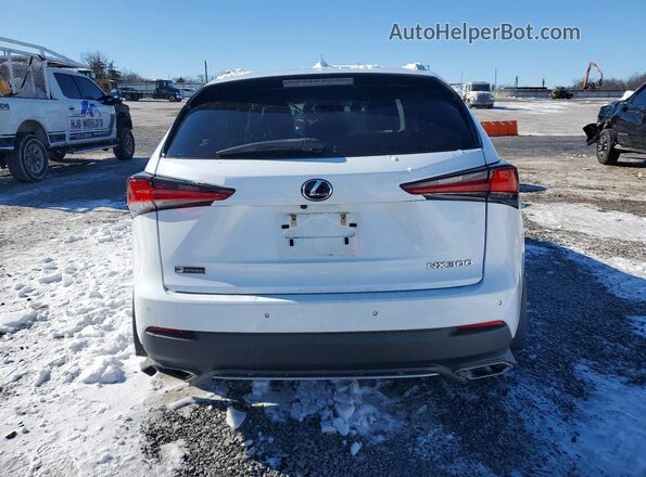 JTJSARDZ6M2256055 2021 LEXUS NX White 
