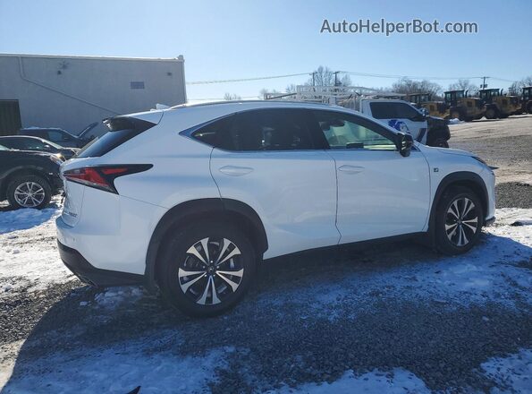 JTJSARDZ6M2256055 2021 LEXUS NX White 