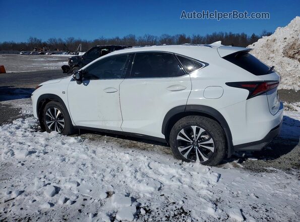 JTJSARDZ6M2256055 2021 LEXUS NX White 