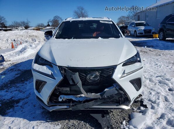 JTJSARDZ6M2256055 2021 LEXUS NX White 