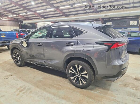 JTJSARDZ7M2255089 2021 LEXUS NX Серый Задняя левая четверть