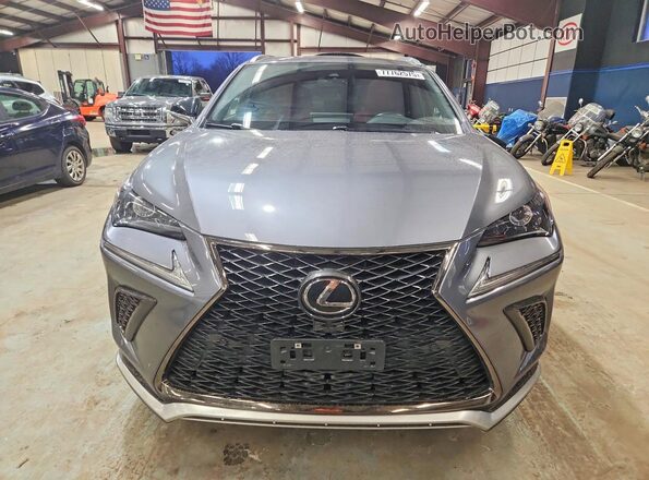 JTJSARDZ7M2255089 2021 LEXUS NX Серый Вид спереди