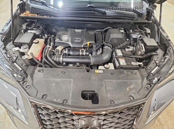 JTJSARDZ7M2255089 2021 LEXUS NX Серый Вид задней части салона