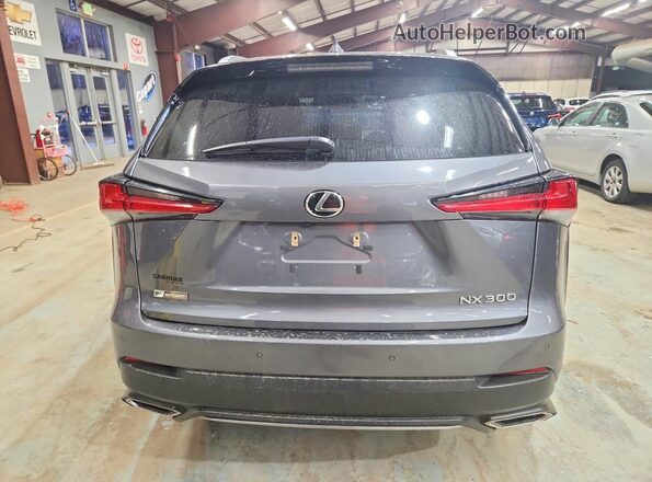 JTJSARDZ7M2255089 2021 LEXUS NX Серый Вид сзади