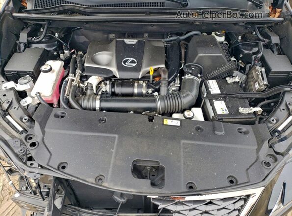 JTJSARDZ8M2260625 2021 LEXUS NX Черный Вид подкапотного пространства