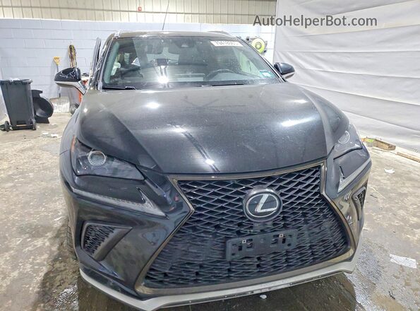 JTJSARDZ9M2253926 2021 LEXUS NX Black Вид спереду