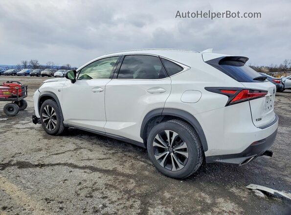 JTJSARDZ9M5022491 2021 LEXUS NX White Задня ліва чверть