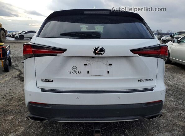 JTJSARDZ9M5022491 2021 LEXUS NX White Вид ззаду