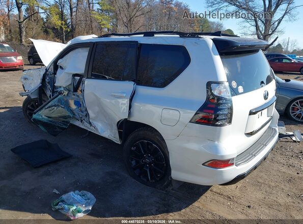 JTJSM7BX4P5339600 2023 LEXUS GX 460 White Rear left