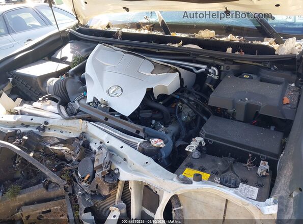 JTJSM7BX4P5339600 2023 LEXUS GX 460 White Rear view
