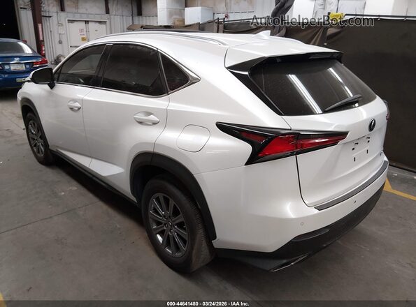 JTJYARBZ3K2117091 2019 LEXUS NX 300 White Tył lewy