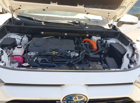 JTM16RFV8RJ054664 2024 TOYOTA RAV4 HYBRID White Հետևի տեսք