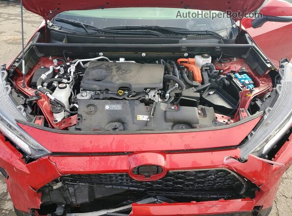 JTMAB3FV6MD039483 2021 TOYOTA RAV4 Red Սալոնի հետևի տեսք