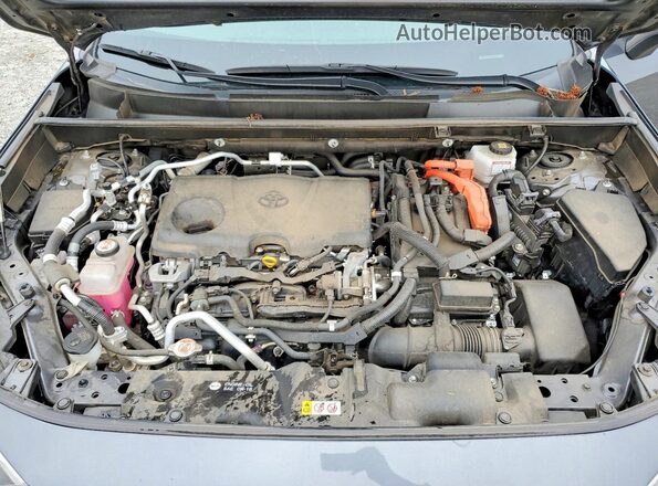 JTMAB3FV8MD035919 2021 TOYOTA RAV4 Black Rear interior view