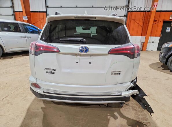 JTMDJREV7GD035709 2016 TOYOTA LIMITED White უკანა ხედი