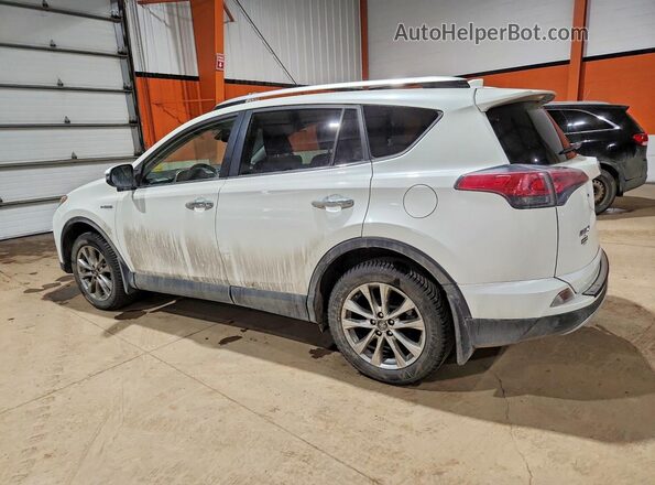 JTMDJREV7GD035709 2016 TOYOTA LIMITED White უკანა მარცხენა
