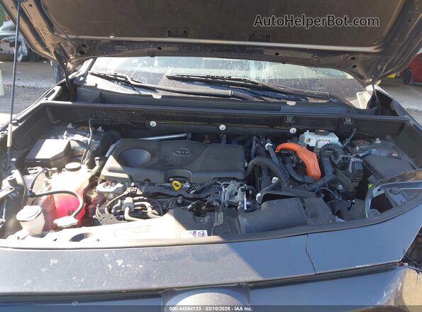 JTMDWRFV7KD008793 2019 TOYOTA LIMITED Gray Հետևի տեսք