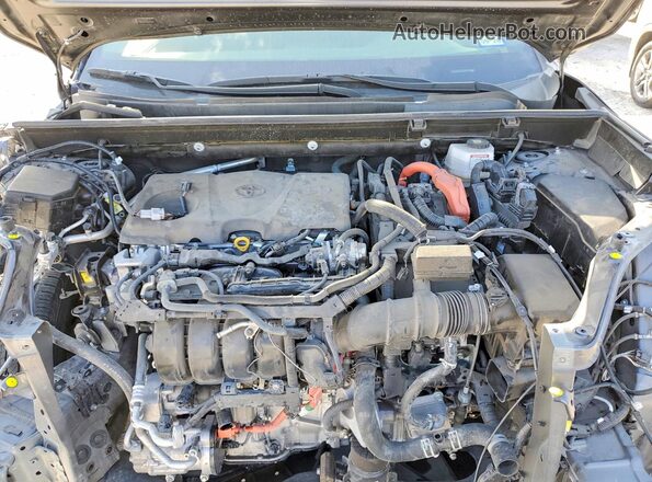 JTME6RFV2PJ035042 2023 TOYOTA RAV4 Gray Widok wnętrza z tyłu