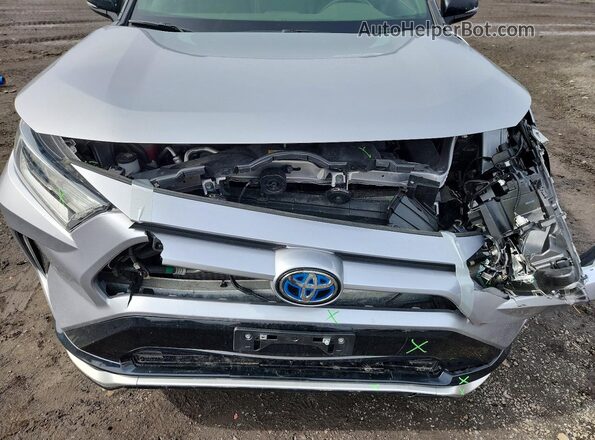 JTMEB3FV1MD048142 2021 TOYOTA RAV4 Silver Սալոնի հետևի տեսք