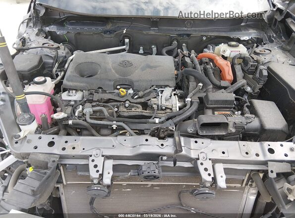 JTMEWRFV5LD531252 2020 TOYOTA RAV4 HYBRID Gray უკანა ხედი