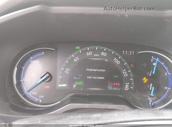 JTMEWRFV5LD531252 2020 TOYOTA RAV4 HYBRID Gray უკანა სავარძლების ხედი