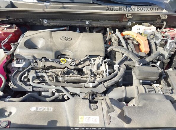 JTMMWRFV4KJ004556 2019 TOYOTA LE Red უკანა ხედი
