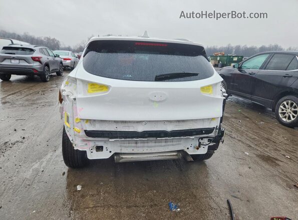 KM8J3CA46KU073069 2019 HYUNDAI TUCSON White 