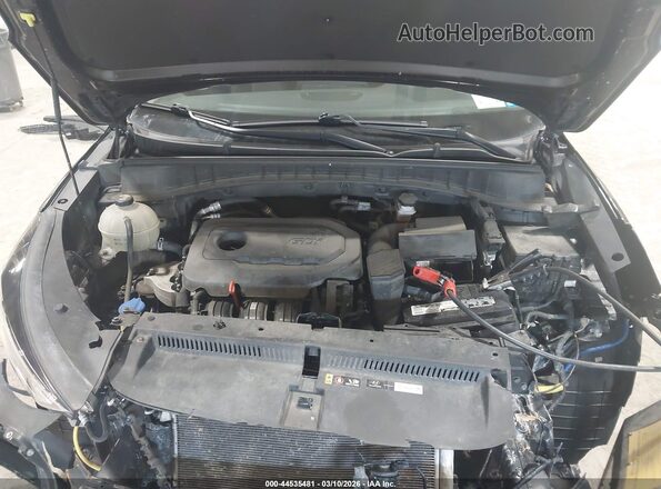 KM8J3CAL9MU296376 2021 HYUNDAI TUCSON Black უკანა ხედი