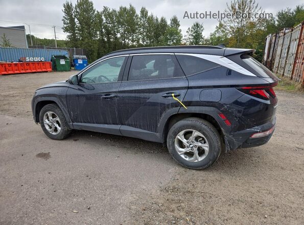 KM8JBCAE3PU215428 2023 HYUNDAI TUCSON Blue Հետևի ձախ