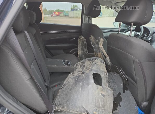 KM8JBCAE3PU215428 2023 HYUNDAI TUCSON Blue Սալոնի հետևի տեսք