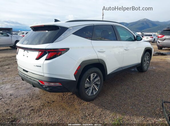 KM8JBCD13RU210855 2024 HYUNDAI TUCSON HYBRID White უკანა მარჯვენა
