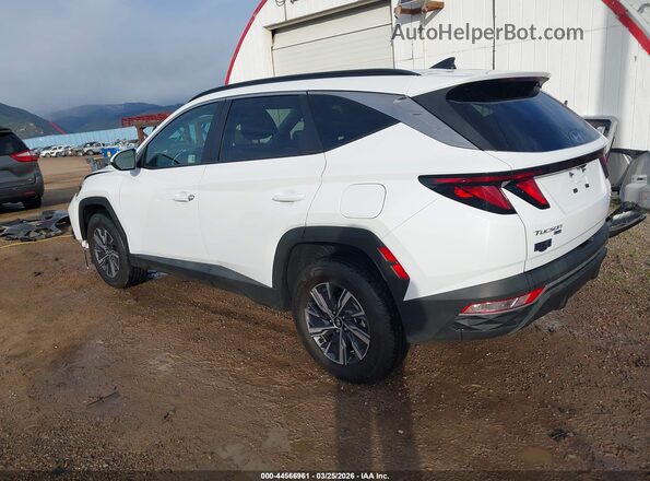 KM8JBCD13RU210855 2024 HYUNDAI TUCSON HYBRID White უკანა მარცხენა