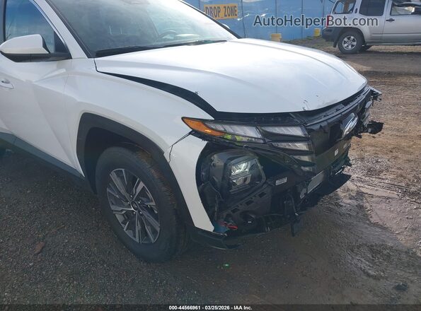KM8JBCD13RU210855 2024 HYUNDAI TUCSON HYBRID White 
