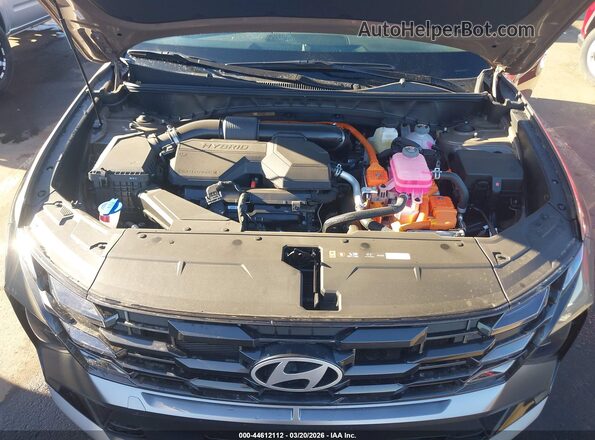 KM8JBDD19TU420065 2026 HYUNDAI TUCSON HYBRID Brown Вид ззаду