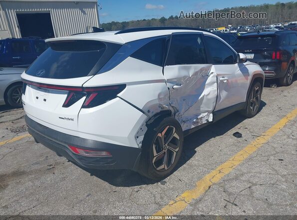 KM8JCCD12RU185864 2024 HYUNDAI TUCSON HYBRID White 