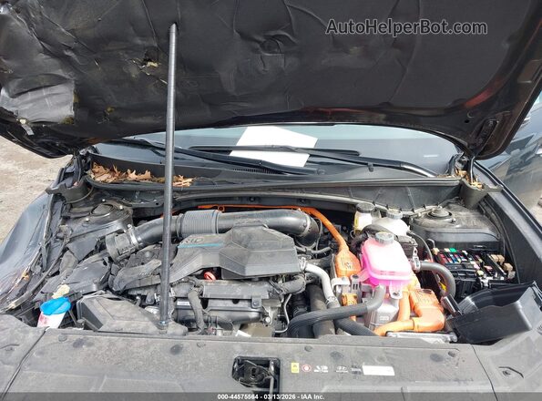 KM8JCCD14RU229797 2024 HYUNDAI TUCSON HYBRID Black Widok z tyłu