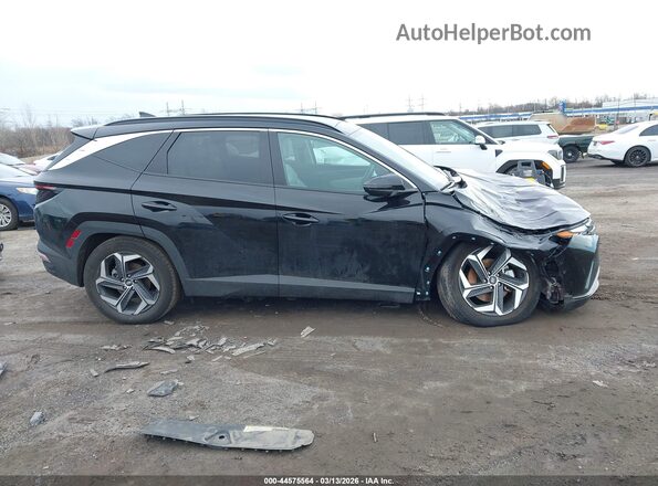 KM8JCCD14RU229797 2024 HYUNDAI TUCSON HYBRID Black Widok wnętrza z tyłu