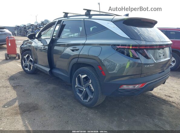 KM8JCCD14RU231503 2024 HYUNDAI TUCSON HYBRID Gray უკანა მარცხენა